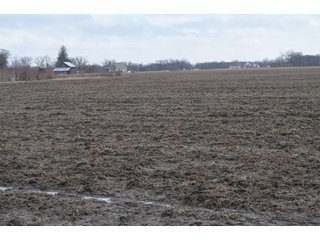Property photo 51 - 173 +/- Acres Offered in 3 Tracts - Ohio Farmland